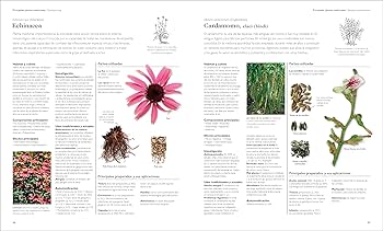 the Encyclopedia of Medicinal Plants  洋書 The Encyclopedia of Medicinal Plants by Andrew Chevallier